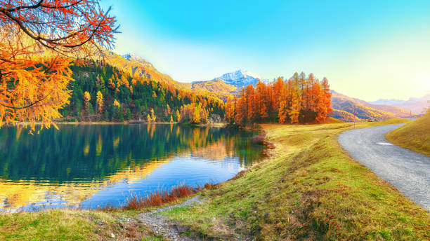 impresionante panorama otoñal del lago silvaplana - champfer fotografías e imágenes de stock