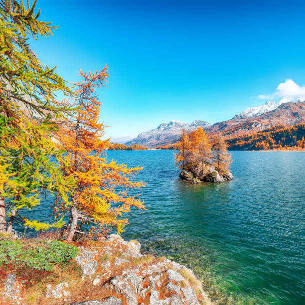 istock Fantastic autumn scene on Sils Lake 1225928244