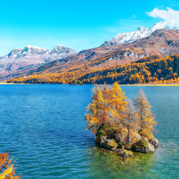 istock Fantastic autumn scene on Sils Lake 1225928824