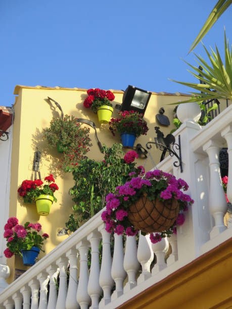 istock Large display of plants on village wall 1225930520
