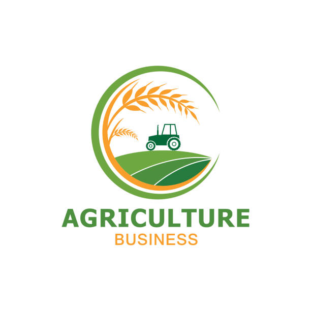 ilustrações, clipart, desenhos animados e ícones de projeto de logotipo vetorial para agricultura, agronomia, fazenda de trigo, campo rural, colheita natural - produtor rural