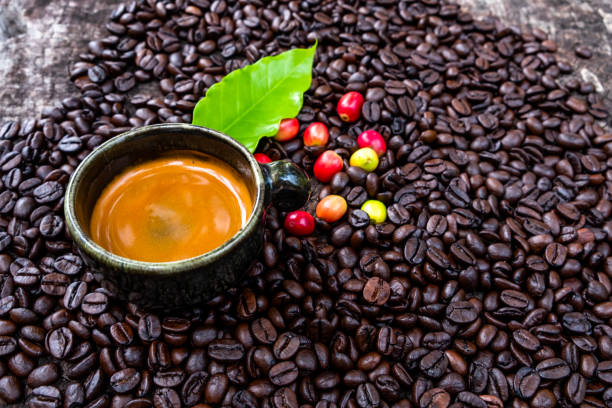 istock An espresso in coffee cup with light brown cream on top, a bright green coffee leaf, and colorful coffee cherries scattered on the pile of dark brown roasted coffee beans. 1225934613