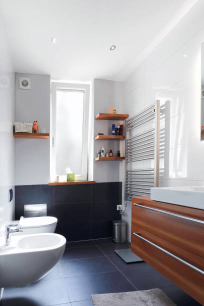 baño de apartamentos privado interior - water plant fotografías e imágenes de stock