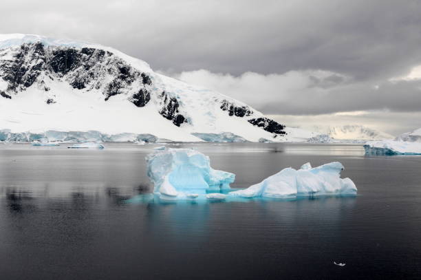 istock Iceberg and coastline, Errera Channel, Antarctic Peninsula 1225943621