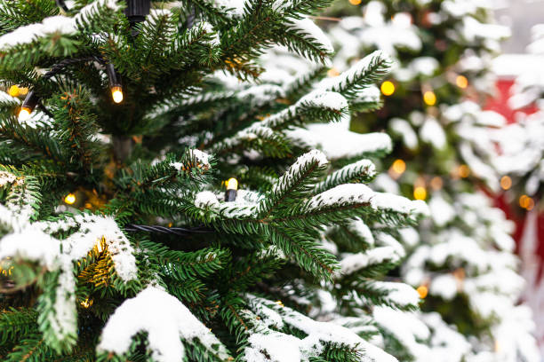 istock christmas tree covered by snow outdoors in winter 1225947212
