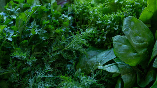 istock Food - Greens 1225948756