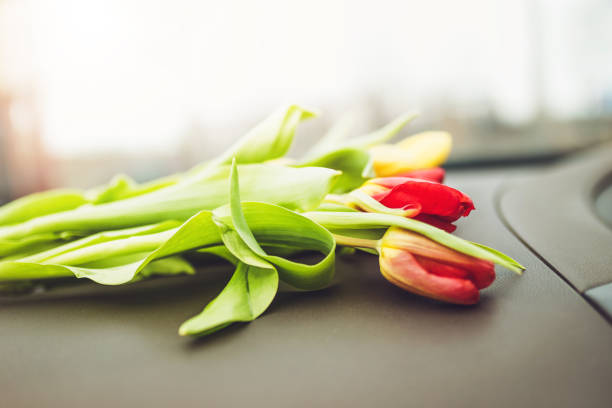 Bouquet of spring tulips on the dashboard