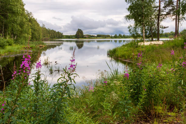 Summer cloudy day on the lake in Finland