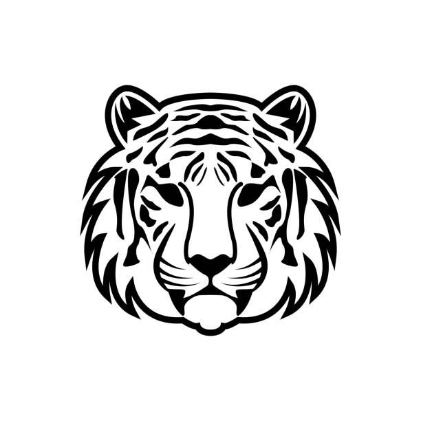 Background Of Beautiful Tiger Tattoo Design Illustrations, Royalty-Free  Vector Graphics & Clip Art - iStock