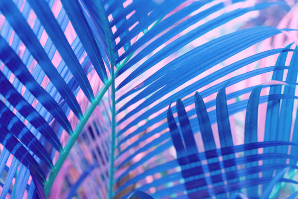 istock Neon colored palm tree leaves. Tropical trees background 1225958956