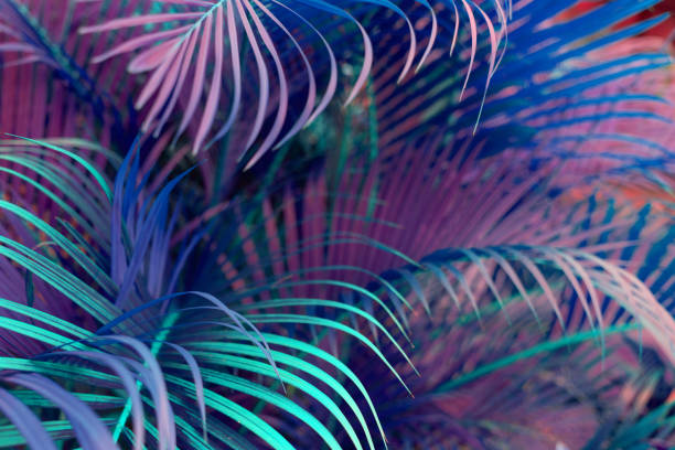 istock Neon colored palm tree leaves. Tropical trees background 1225958958