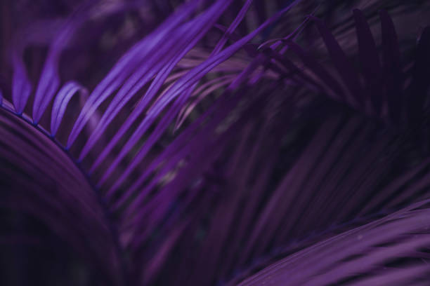 istock Neon colored palm tree leaves. Tropical trees background 1225958961