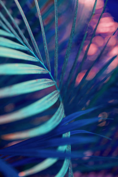 istock Neon colored palm tree leaves. Tropical trees background 1225958968