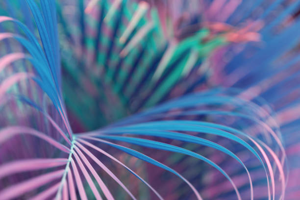 istock Neon colored palm tree leaves. Tropical trees background 1225958976