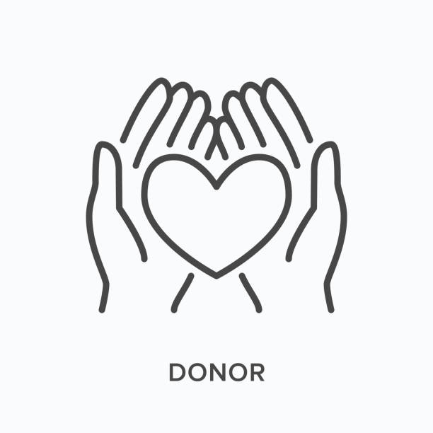 Hands holding human heart flat line icon. Vector outline illustration of organ donor. Cardiology thin linear medical pictogram Hands holding human heart flat line icon. Vector outline illustration of organ donor. Cardiology thin linear medical pictogram. giving medication stock illustrations