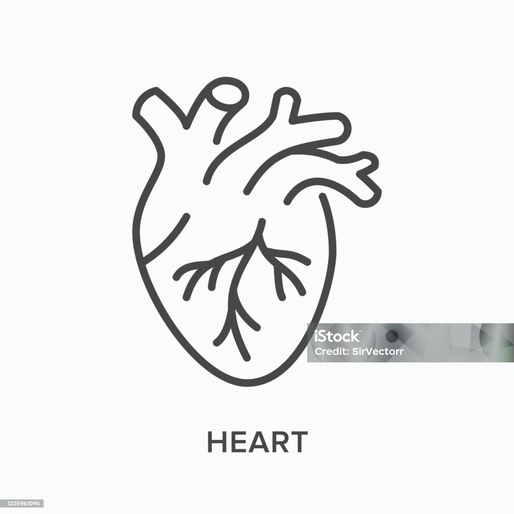 Biểu Tượng Đường Phẳng Trái Tim Vector Phác Thảo Minh Họa Của Cơ ...