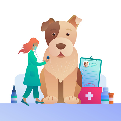 Ilustración de Publicidad De Clínica Veterinaria En Estilo De Dibujos Animados y más Vectores Libres de Derechos de Clínica veterinaria - iStock Ilustración de Publicidad De Clínica Veterinaria En Estilo De Dibujos Animados y más Vectores Libres de Derechos de Clínica veterinaria - iStock
