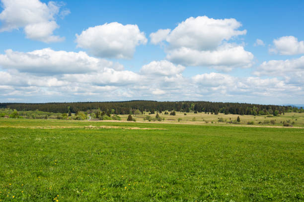istock panoramic view of green fields and trees with blue cloudy sky 1225961759