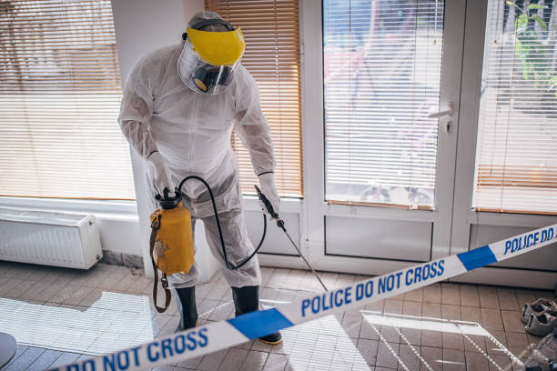 istock Man in protective suit disinfecting and spraying coronavirus infected room building 1225963275