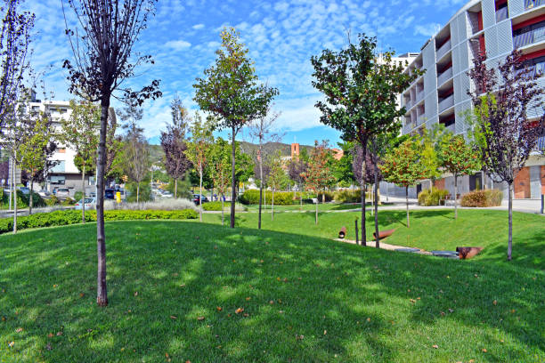 istock Vall d'Hebron Park, Barcelona district Catalonia 1225964689