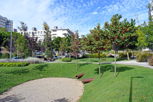 istock Vall d'Hebron Park, Barcelona district Catalonia 1225964703