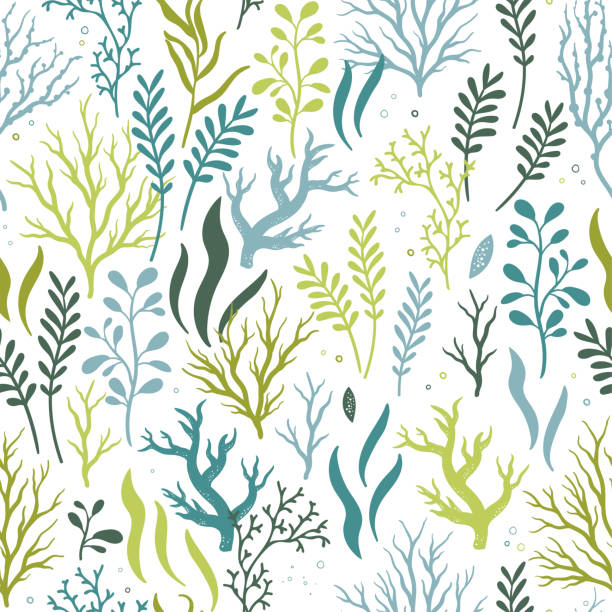 귀여운 손은 물 원활한 패턴, 화려한 여름 배경, 섬유, 배너, 배경 화면, 포장에 좋은 에서 그린 - 벡터 디자인 - seaweed sea pattern green stock illustrations