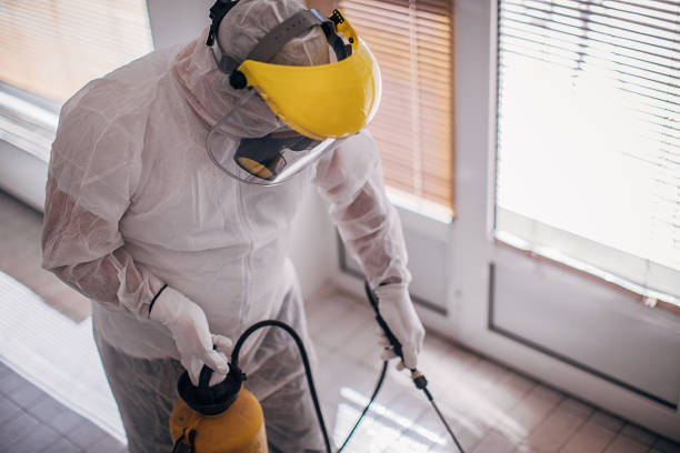 istock Man in protective suit disinfecting and spraying every room in the building 1225966638