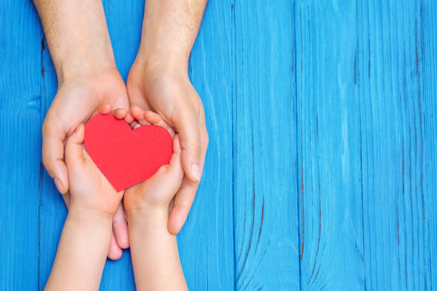 istock Child and dad hands holding red heart. 1225968387