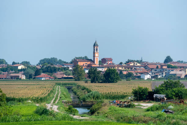 Summer landscape along the cycle path of the Po river, italy Summer landscape along the cycle path of the Po river, iin the Lodi province, Lombardy, Italy. Orio Litta lodi italy stock pictures, royalty-free photos & images