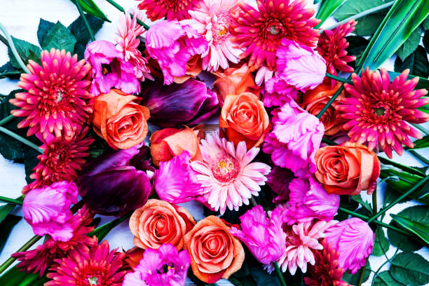 красивые красочные цветы смесь с тюльпанами, розами и герберами - bouquet tulip greeting card gerbera daisy стоковые фото и изображения