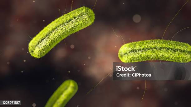 Science Photo Of Bacteria Listeria Infection Is A Foodborne Bacterial Illness That Can Be Very Serious For Pregnant Women People Older Than 65 And People With Weakened Immune Systems Stock Photo - Download Image Now
