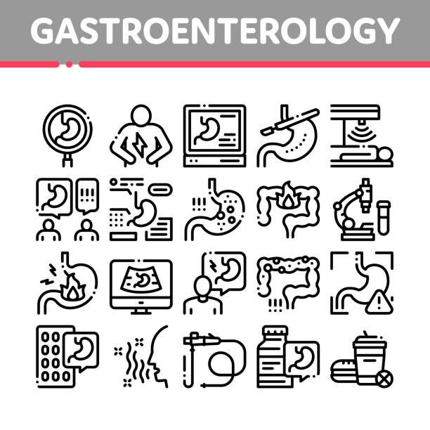 gastroenterologia i ikony hepatologii ustaw wektor - alimentary stock illustrations