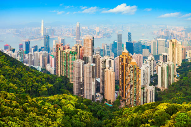 istock Hong Kong skyline from Victoria Peak 1225972781