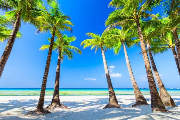 istock White sand beach Boracay island, Philippines 1225973108