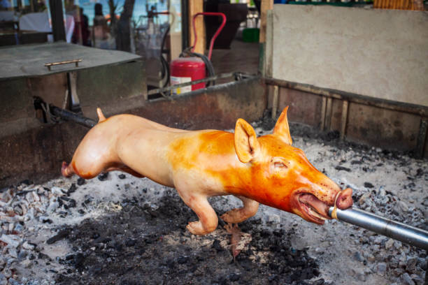 barbacoa de cerdo asada en un escupitajo, filipinas - spit roasted pork domestic pig roasted fotografías e imágenes de stock