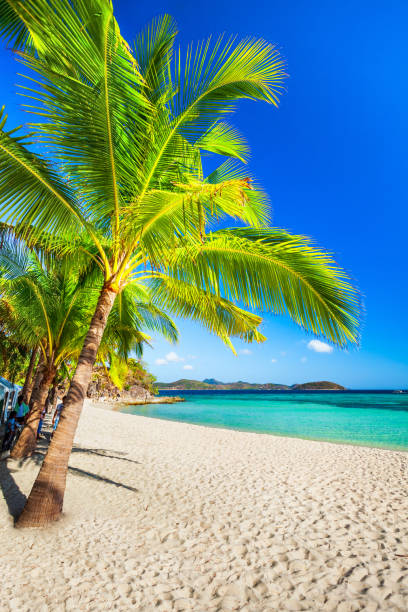 istock Beauty beach in Palawan island, Philippines 1225973748