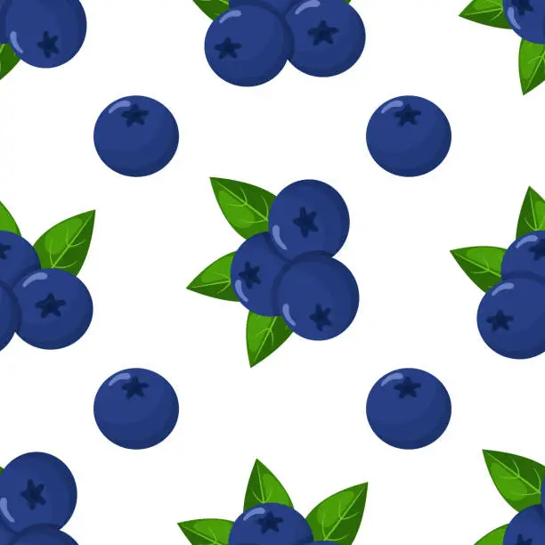 Vector illustration of Seamless pattern with fresh bright exotic blueberries on white background. Summer fruits for healthy lifestyle. Organic fruit. Cartoon style. Vector illustration for any design.