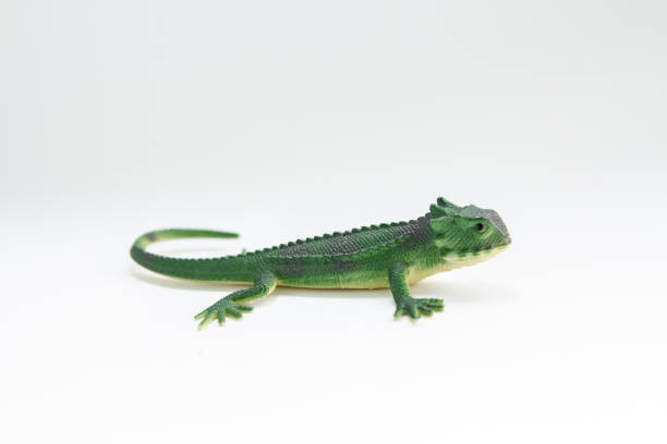 istock green toy lizard on a white background 1225977597