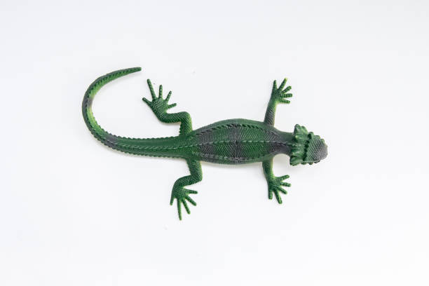 istock green toy lizard on a white background 1225978181
