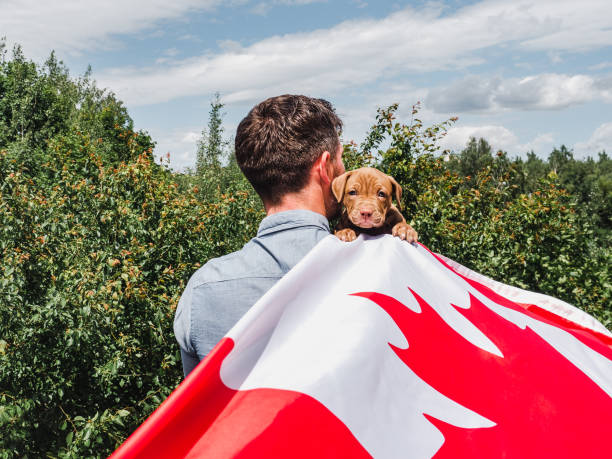 istock Handsome man and a charming puppy. Close-up 1225979835