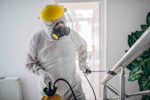 istock Man in protective suit disinfecting steps in building 1225979893