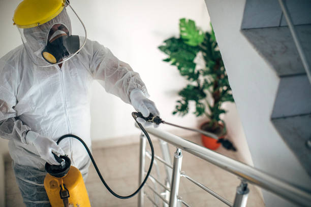 istock Man in protective suit disinfecting steps in building 1225979989