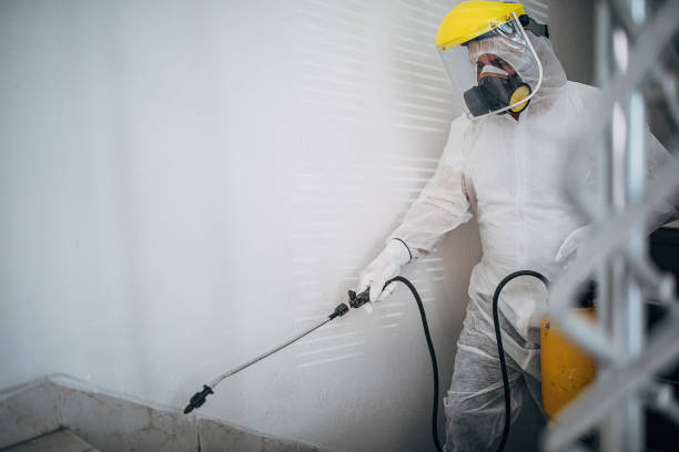 istock Man in protective suit disinfecting steps in building 1225980048