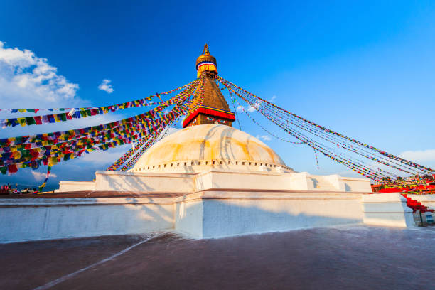 네팔 카트만두의 부다나스 그레이트 스푸파 - nepal buddha monkey temple tibet 뉴스 사진 이미지