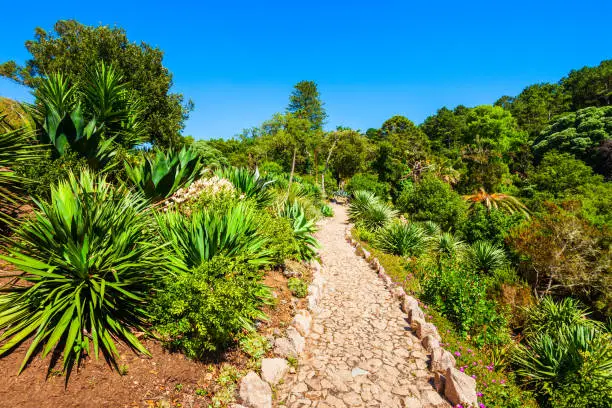 Photo of Monserrate Palace garden in Sintra, Portugal