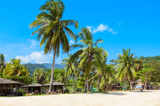 istock Clear water beach in Thailand 1225986252