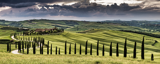 In the heart of autumn's embrace, Tuscany's landscape unfolds in a breathtaking display. Golden and amber hues paint a rich tapestry across rolling hills, while a small forest of diverse trees stands as a vibrant testament to the season's transformation. Leaves of green,  crimson, ochre, and russet create a kaleidoscope of colors, adding a touch of whimsy to the scene.\n\nBefore it stretches a plowed field, a patchwork of earthy tones awaiting the promise of new growth. Amidst this picturesque setting, the hilltop town of Pienza graces the distant horizon, a charming reminder of human history against nature's grandeur.\n\nThis captivating vista captures the essence of Tuscany in fall, where the beauty of changing seasons is woven into every detail, inviting you to wander amidst the rustic splendor and embrace the tranquility of this enchanting landscape.