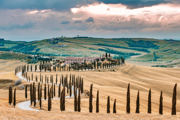 istock Tuscany Landscape At Sunset - Crete Senesi 1225989697