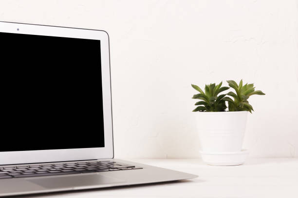istock A laptop with the black screen on a white table with a succulent on a background of white wall 1225991037
