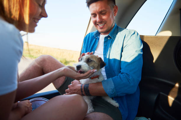 istock Smiling couple playing with their dog in car. 1225992521